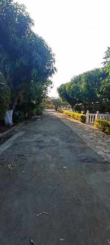 Casa En Santa Rosalía, Barquisimeto Oeste, Emss 