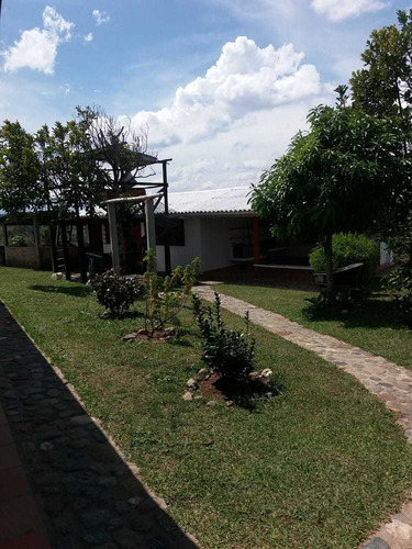 Imagen 6 de 12 de Finca 5 Hectareas Cajibio - Cauca