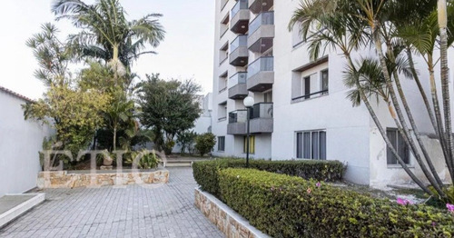 Imagem 13 de 15 de Apartamento - Vila Matilde - Ref: 4113 - V-ap1948