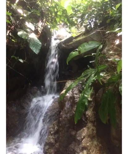 Finca En Vender En Cocorná