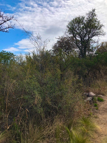 Imagen 5 de 14 de Lote De 2500 M2 Ubicado En Las Chacras - Villa De Las Rosas
