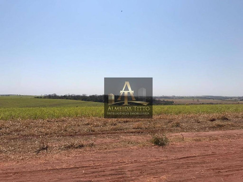 Imagem 16 de 18 de Excelente Fazenda Para Venda Em Nipoã - Sp - Confira!!!! - Fa0056