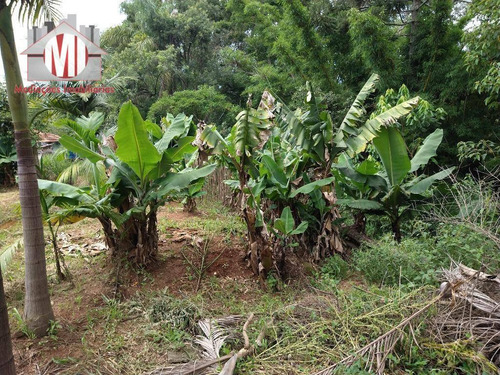 Ótima Chácara Com 3 Dormitórios, Córrego, Pomar, Excelente Localização, À Venda, 3000 M² Por R$ 215.000 - Zona Rural - Pinhalzinho/sp - Ch0848