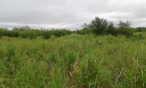 Campo En Venta En Las Lomitas, Formosa