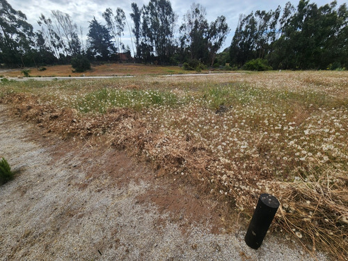 Maravilloso Terreno No Perimetral En Condominio Los Maitenes