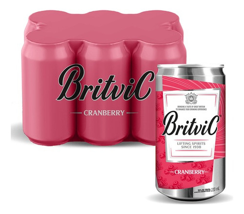 Refresco De Cranberry Britvic 220ml (pack C/12)