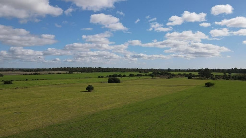Campo En Venta En Solís De Mataojo