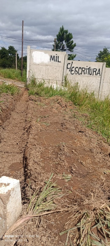 Vendo Terreno 8x17 Vem Nele, Último Lote, Valor Negociável