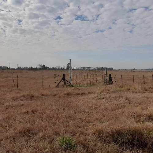 Imagen 1 de 9 de Lote En Venta En San Vicente