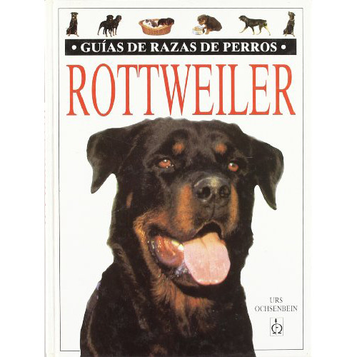 Rottweiler - Ochsenbein - Omega - #d