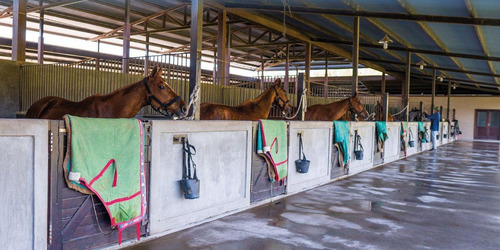 Imagen 8 de 30 de Excelentes Lotes En Technopolo Country Club General Rodriguez