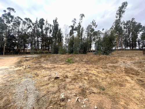 Imagen 14 de 22 de Sitio En Condominio De Categoría En Venta En Puchuncaví