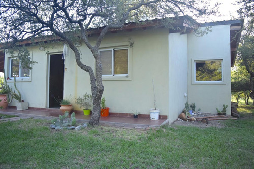 Imagen 11 de 28 de Casa - Cortaderas