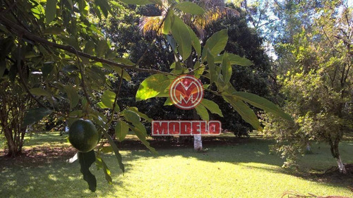Imagem 11 de 30 de Chácara Residencial À Venda, Santana, São Pedro. - Ch0048