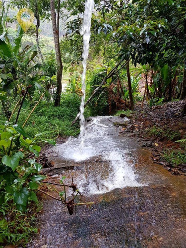 Imagem 26 de 30 de Sítio Com Cachoeira Privativa Em Santa Teresa. - Si0002