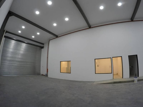 Imagen 6 de 22 de Alquiler - Depósito 1.250 M2 - Salida A 2 Calles - Barracas