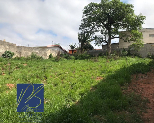 Imagem 4 de 5 de Terreno - Te00043 - 34354522