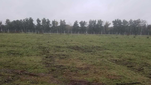 Imagen 8 de 9 de Campo 2,700 Ha. Ubicado Sobre Ruta 34
