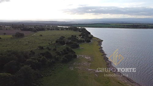 Imagen 3 de 29 de Lotes En Quillinzo