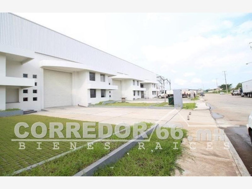 Imagen 6 de 8 de Bodega Comercial En Renta Anacleto Canabal 1ra. Sección