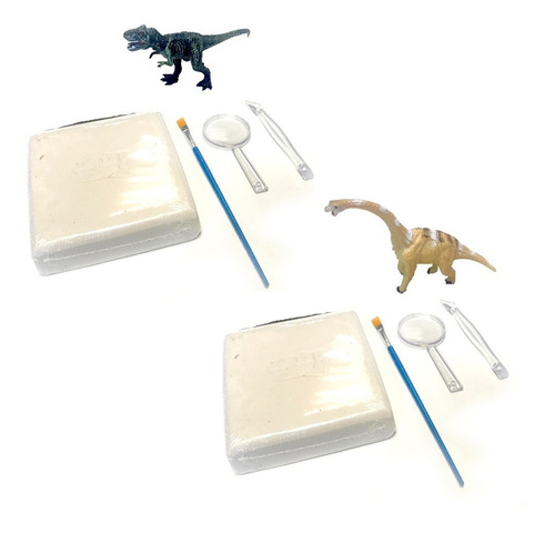Imagen 2 de 3 de Paleontología Fósil De Dinosaurio Mi Alegría