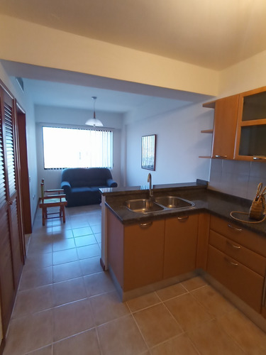 Imagen 8 de 13 de Apartamento De 1 Habitación