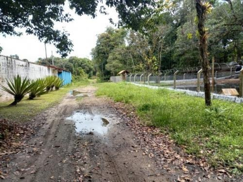 Imagem 13 de 14 de Chácara Lado Serra 1dorm, Itanhaém- Jd Coronel À Venda. 9580