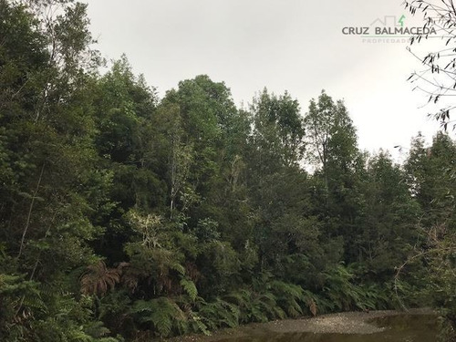 Imagen 7 de 8 de Agrícola En Venta En Puerto Montt