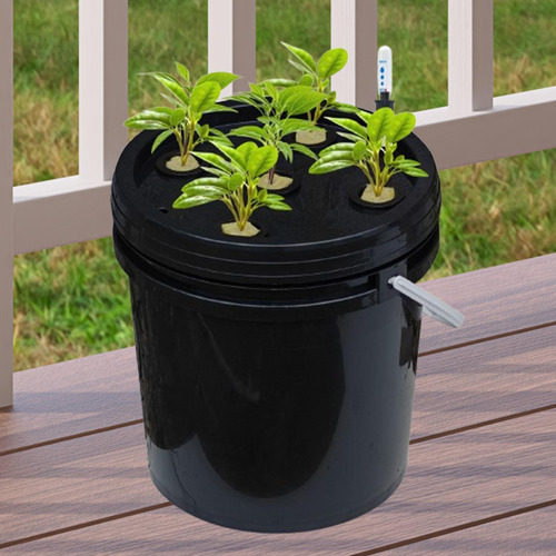 Dwc Hydroponics De Cultura Em Águas Profundas Kit De De