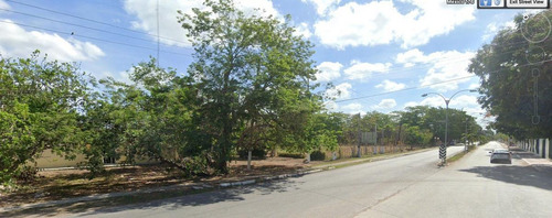Imagen 6 de 25 de Terreno Sobre Avenida De Cuatro Carriles En Yucatán $320m2 -142m De Frente -71298m2- Tizimín