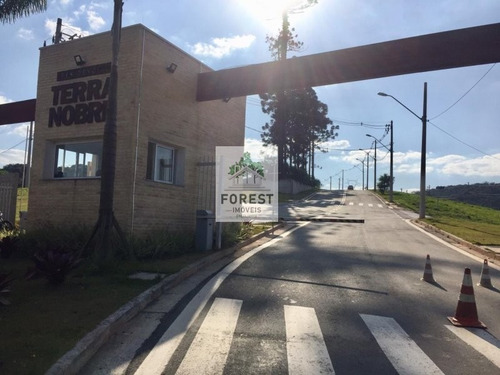 Imagem 10 de 15 de Reserva Da Mata Terra Nobre - Terreno A Venda No Bairro Sítio Boa Vista - Cotia, Sp - Fi08168