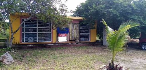 Imagen 1 de 15 de Terreno En Venta En Izamal