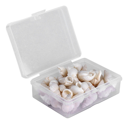 Joias De Caracol Marinho Com Conchas Naturais