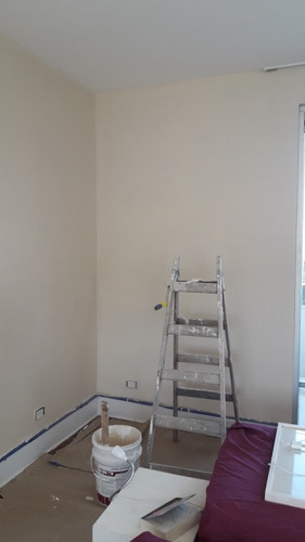 Imagen 1 de 5 de Pintor Profesional. Responsable, Prolijo Y Puntual.