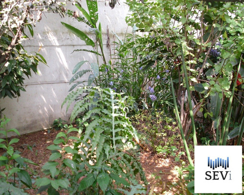 Imagem 9 de 12 de Casa - Ca00077 - 4390824