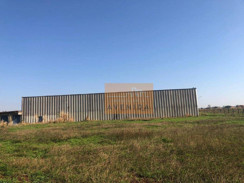 Imagem 14 de 24 de Área Para Alugar, 58600 M² Por R$ 170.000,00/mês - Betel - Paulínia/sp - Ar0036