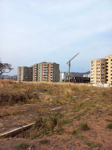 Imagen 11 de 11 de Terreno Unifamiliar En Venta Jardin Mañongo