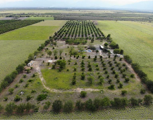 Terreno Campestre En Venta Zona Citrícola Nl