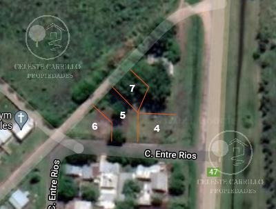 Imagen 2 de 20 de Terreno - Parada Robles