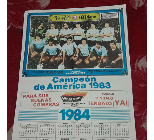 Tres Pósters De La Selección Uruguaya Campeona De América (Usado)