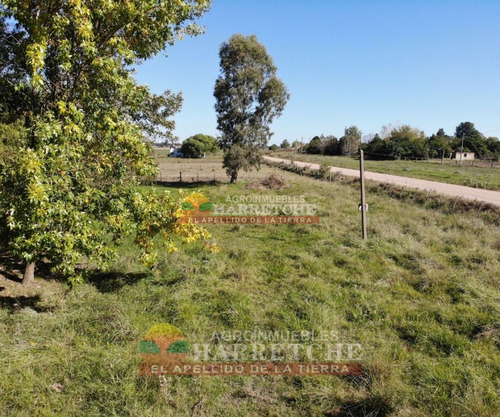 Imagen 5 de 30 de Chacra 5 Has En Venta, Casa 3 Dorm, Cno Gigante