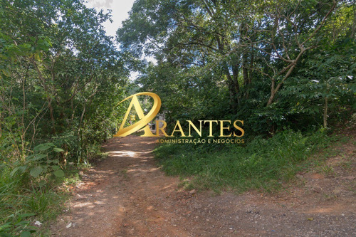 Imagem 7 de 24 de Chacara - Ch00375 - 70807291