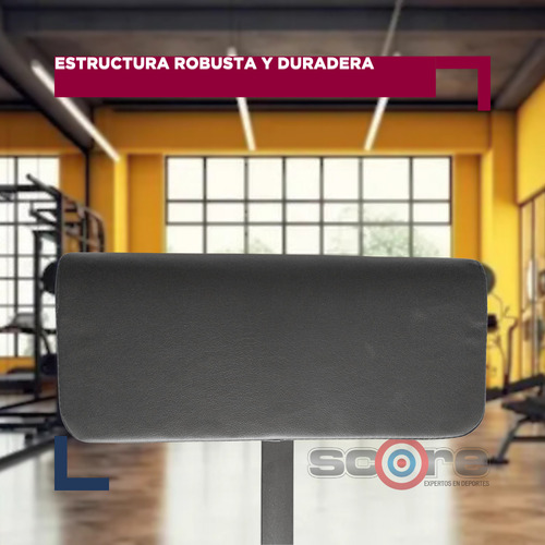 Sissy Squat Profesional Comercial Sentadilla Gimnasios