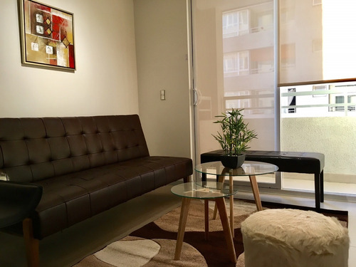 Arriendo Depto En Centro (minimo 10 Dias) 