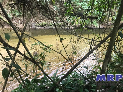 Imagem 7 de 12 de Terreno Em Ubatuba, Com Natureza Exuberante, Acesso Ao Rio, 1.500m², Bairro Residencial. - Te00142 - 34370754