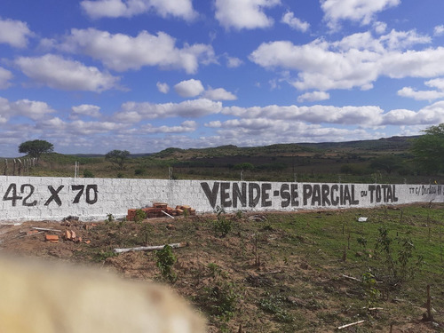 Propriedade Rural Na Beira Da Pista Ba 220