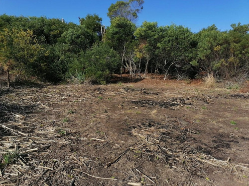 Imagen 4 de 5 de Terreno En Zona La Serena - La Paloma
