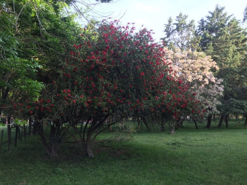 Imagen 15 de 23 de Campo En Venta En Lobos