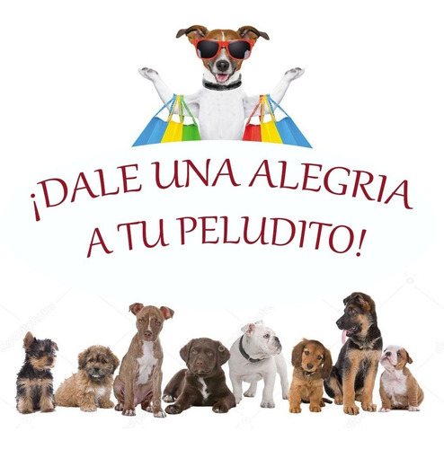 Imagen 8 de 10 de Mochila Bolso Transportadora Para Gato Perro Transparente L