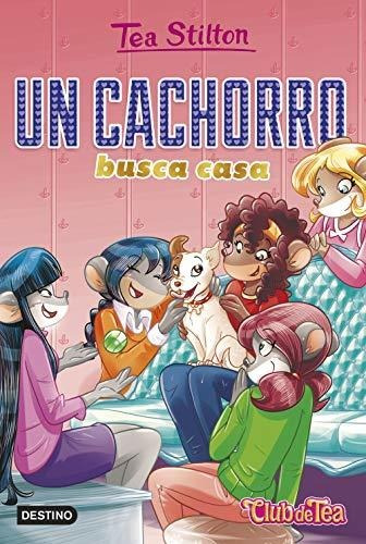 Un Cachorro Busca Casa